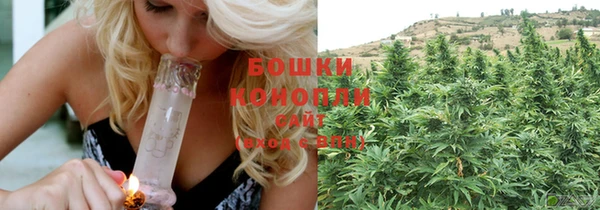 ПСИЛОЦИБИНОВЫЕ ГРИБЫ Рославль